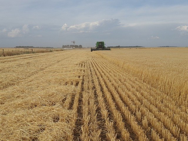 Conheça os produtos mais vendidos da indústria do agro